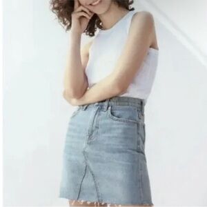 Everlane Denim Reconstructed Skirt 27